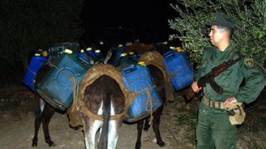 Cross-border smuggling activities thwarted by National Gendarmerie Forces