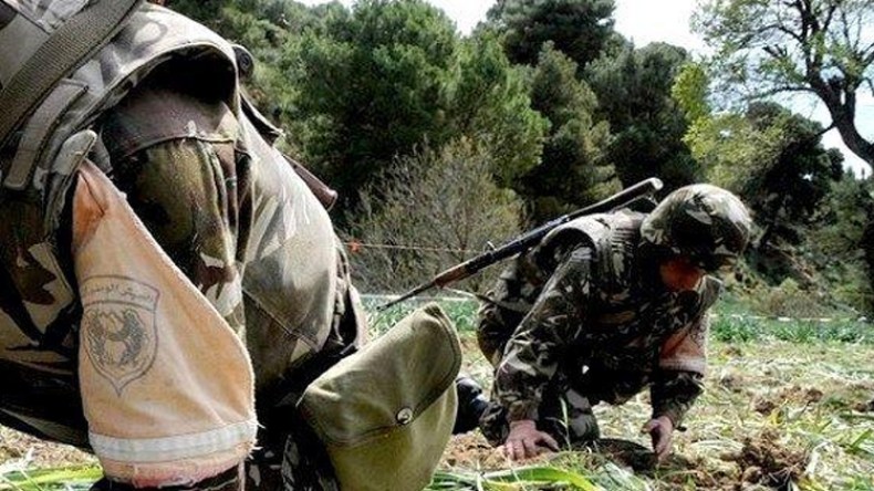 مواطنون يسلمون إرهابيا إلى السلطات بسكيكدة