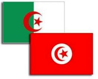 La Tunisie réaffirme la solidité de ses relations historiques et stratégiques avec l’Algérie