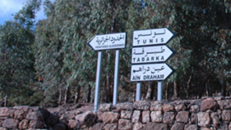 250  سيارة  تونسية  تجتاز  الحدود  يوميا