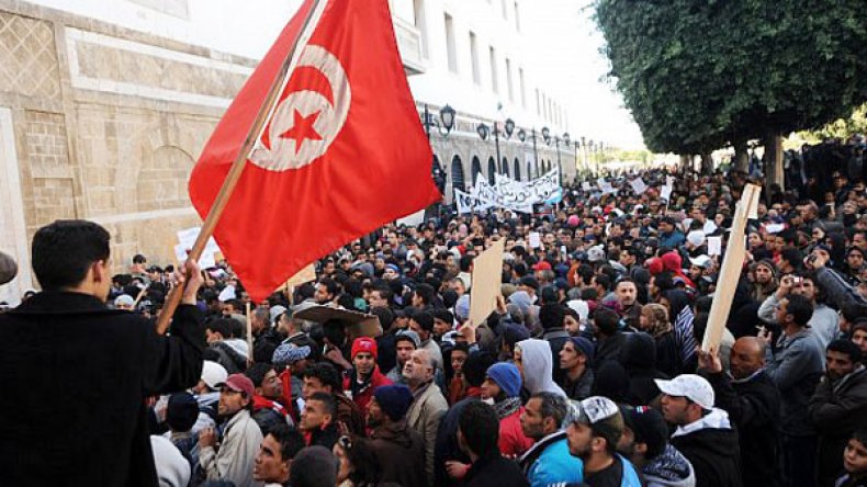 الثورة وأشواك الياسمين!