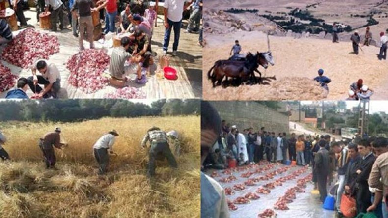 هكذا ساهمت “التويزة” في إنجاح الأعراس والحصاد والأعياد وسط الجزائريين