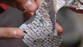 مشعوذة “تنوّم” زوجات الأثرياء.. تسلبهن المجوهرات والأموال ثم تختفي!