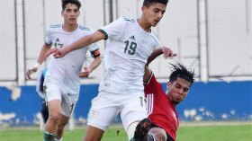 “الخضر” الشجرة التي تفضح بطولة الشكارة والمهازل