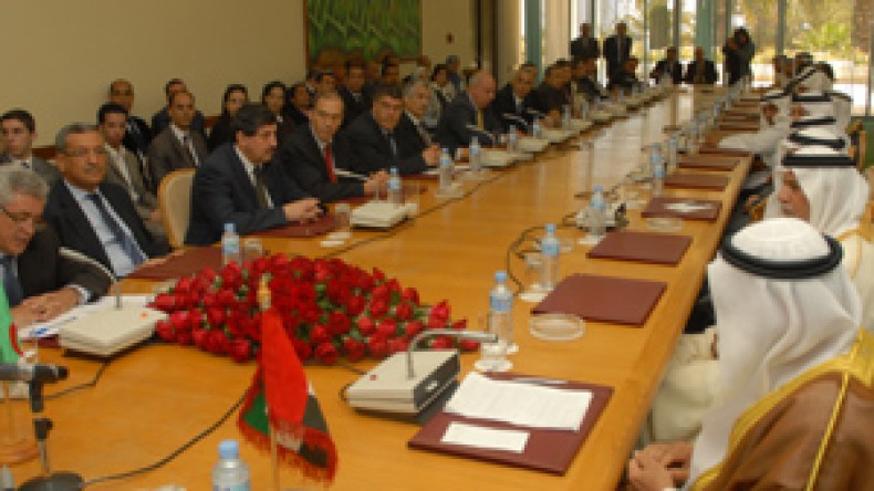 لجنة مشتركة لتنفيذ الاستثمارات الإمارتية بالجزائر تحت رعاية بوتفليقة