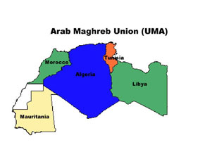 Algeriaâ€™s trade surplus with Maghreb countries hits 445.23 million dollars