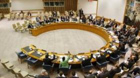 Libya Has Historic Day at UN