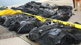 جثث 7 “حرّاقة” مجهولين بينهم 3 فتيات تنتظر الدفن