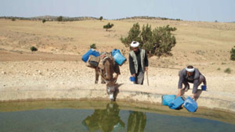 أكثر من 500 عائلة تشرب مع الدواب بأفلو