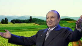 إتحاد الفلاحين الأحرار يطالب بمسح مستحقات الضرائب والضمان الإجتماعي