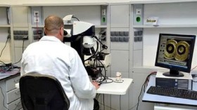 شركة “تشين لي” للحليب تحتال على التأمينات وتحصل على مبلغ 138 مليار سنتيم