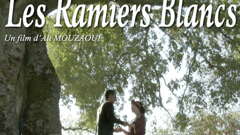 “الحمام الأبيض” استفاد من 3 ملايير و500 مليون سنتيم