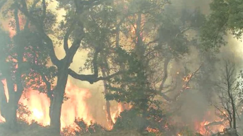 الحرائق تلتهم أكثر من 5000 هكتار من غابة بني صالح المحمية من اليونيسكو