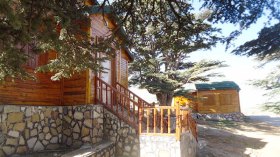 طبيعة سريالية مهربة من الجنة!