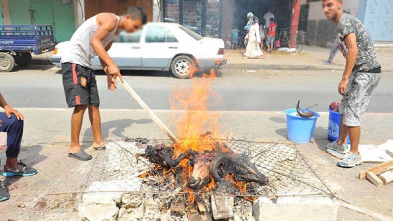 الذبح والسلخ والتقطيع والتنظيف.. مهن تدر الملايين على البطالين