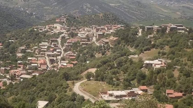 جدران تروي قصصا عن أبشع صور الإستعمار