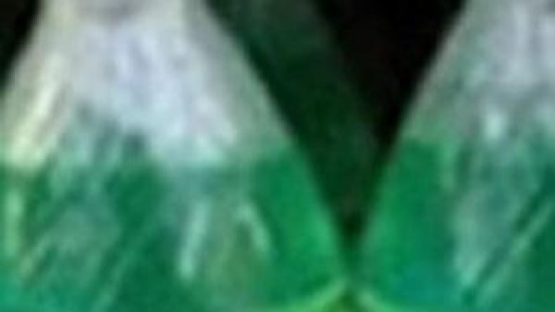 150 عامل بمؤسسة مشروبات الحراش يهددون بالإضراب عن الطعام