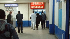 حامل تتعرض للسعة عقرب وأفعى تلدغ قاصرا بسوق أهراس