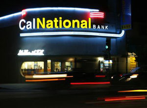 Nine U.S. banks seized in largest one-day haul