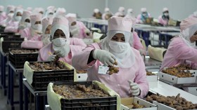 4 طائرات لتصدير البطاطا والبصل والتمور الجزائرية