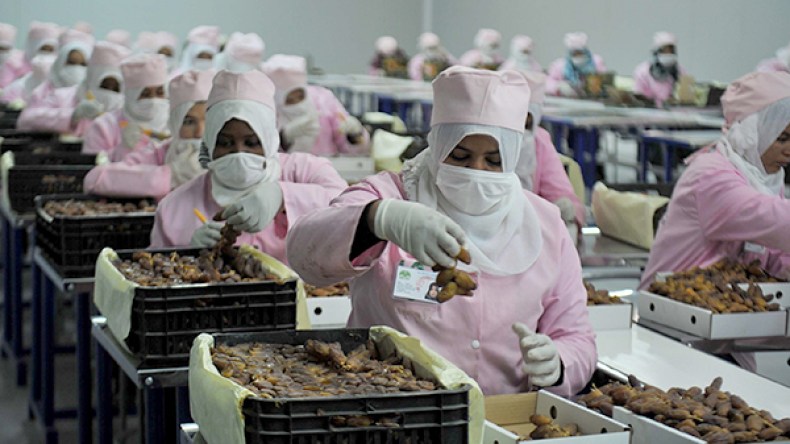 4 طائرات لتصدير البطاطا والبصل والتمور الجزائرية