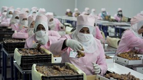 مفاوضات لتصدير التمور والمشروبات الجزائرية عبر بوابة باريس!