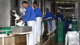 الفاتح جوان.. آخر مهلة لتنظيم إنتاج وتسويق حليب الأكياس