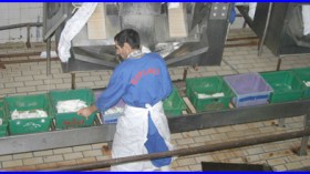 قضية حجز مسحوق الحليب بالغرب: سقوط اثنين من كبار المستوردين للحليب الجاف  بتلمسان