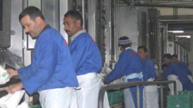 بن بادة يطلق النار على بعض محولي الحليب