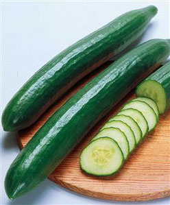 Benaissa : « l’Algérie est à l’abri de la bactérie Eceh »