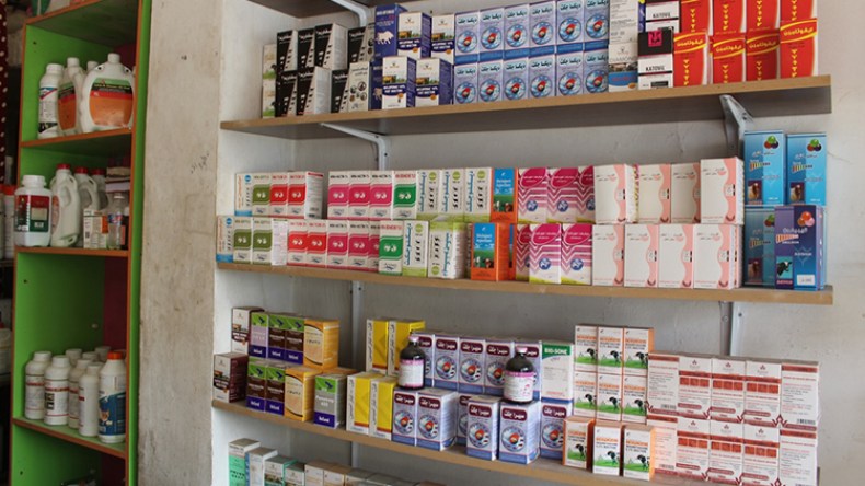 حزمة مشاريع لإنتاج أدوية الصحة الحيوانية قريبا