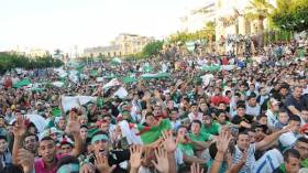 “فيزا” مجانية لأنصار “الخضر” المسافرين إلى البرازيل