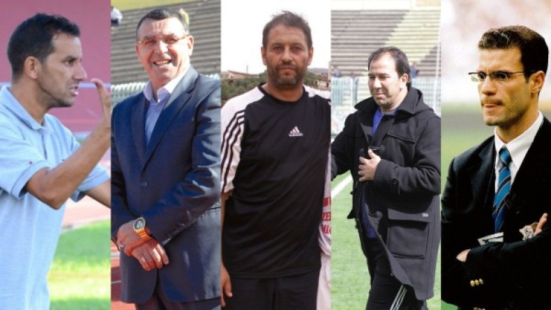 الفاف تُنظم تربصا تكوينيا لفائدة المدربين