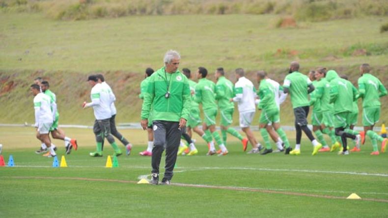 هل أخطأ روراوة بعدم إقالة خليلوزيتش قبل المونديال..؟