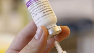 Grippe porcine : le nombre de victimes grimpe à huit en Algérie