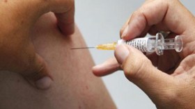 لقاح أنفلونزا الخنازير لا يشكل أي خطورة على الإنسان