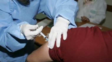 Grippe porcine : la vaccination  a démarré