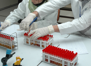 8 mille algériens porteurs hypothétiques du virus AH1N1