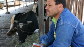 البياطرة سيخسرون 35 مليونا من الزيادات المقررة بأثر الرجعي من جانفي 2008