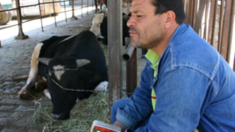 البياطرة سيخسرون 35 مليونا من الزيادات المقررة بأثر الرجعي من جانفي 2008