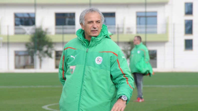 خاليلوزيتش معجب بزماموش وسيعيد شافعي وحشود في مباراتي البينين ورواندا