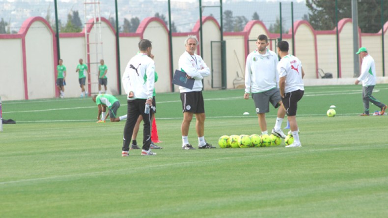 تقنيون وإعلاميون ينتقدون خاليلوزيتش بسبب تهميشه غير المبرر للمحليين