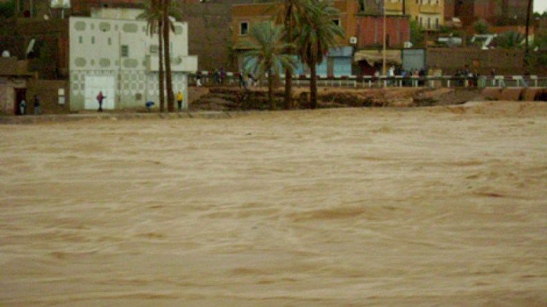 وادي بشار يقتل سائق تاكسي بعد أن أنقذ 4 مناصرين من الهلاك