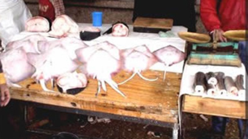 موازين مغشوشة وقديمة تفرض منطقها بأسواق الخضر والفواكه بالعاصمة خلال شهر الرحمة