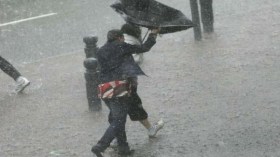 Des vents forts annoncés sur plusieurs wilayas de l’Est