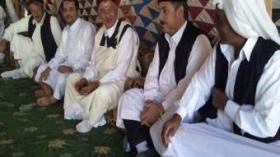 Egyptian tribes propose a peace initiative on Kaddafi and rebels