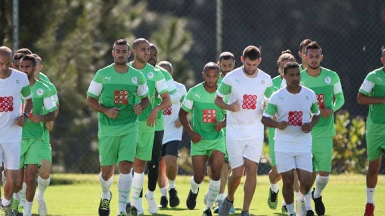 “الخضر” يعاينون منتخب بلجيكا