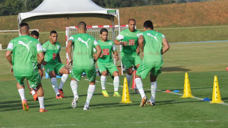 دعوة لإقامة مباراة بين الجزائر ومنتخب عربي لنصرة القضية الفلسطينية