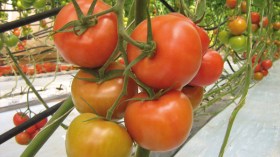 على الدولة واجب أن تعيد هيكلة البنى التحتية وسياسة الدعم