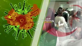 Covid19: 612 nouveaux cas, 386 guérisons et 13 décès en Algérie durant les dernières 24h